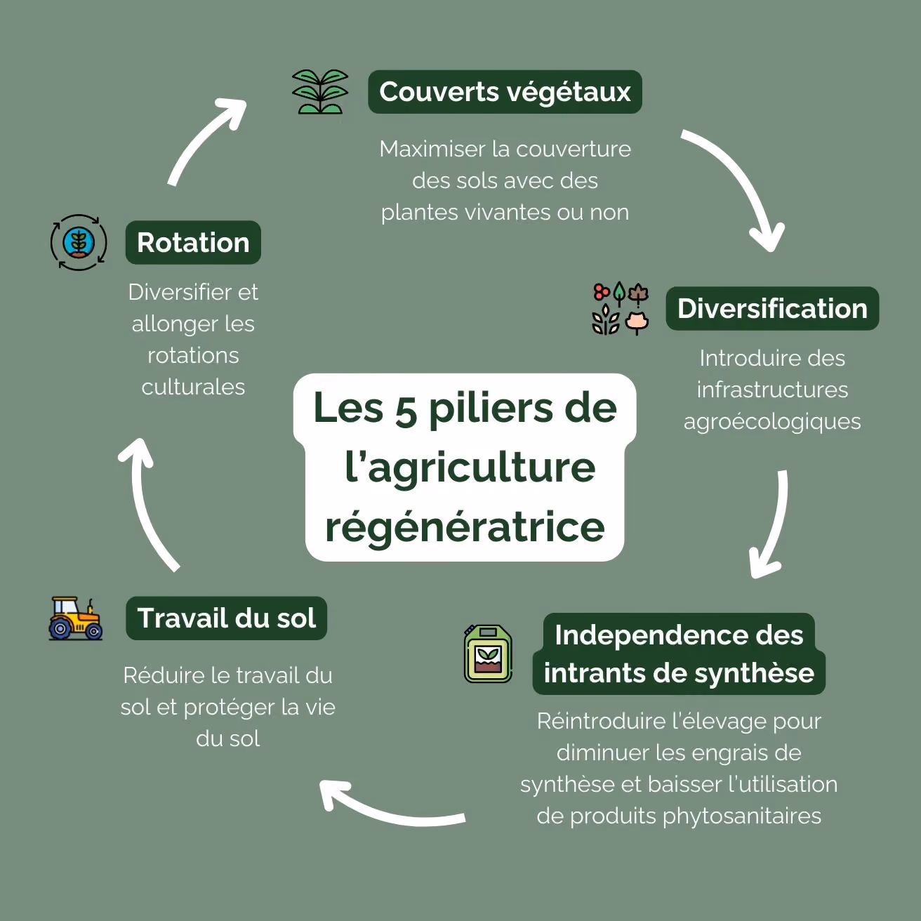Les 5 piliers de l'agriculture régénératrice