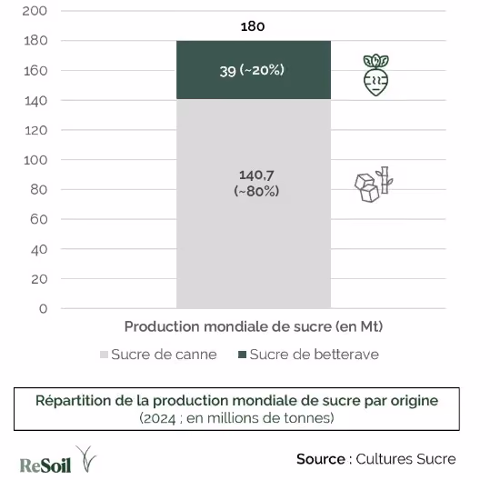 Répartition de la production mondiale de sucre par origine - 2024 (Source : Cultures Sucr