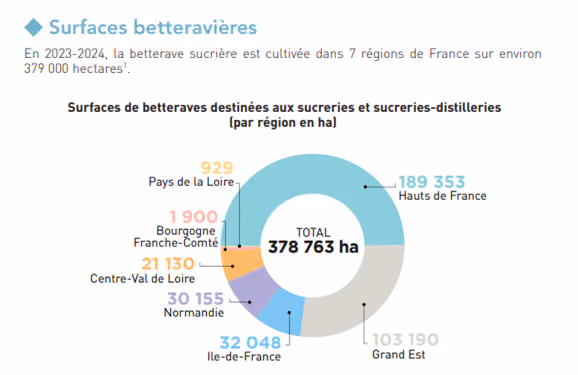 Surfaces de betterave sucrière (en hectares) en France par région (Source : Agreste, Cultures Sucre)