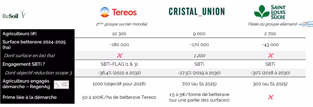 Tableau comparatif des 3 groupes sucriers présents en France métropolitaine en 2025 (Source : ReSoil)
