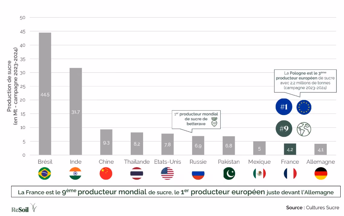 Classement du top 10 des pays producteurs de sucre - campagne 2023-2024 (Source : Cultures Sucre)