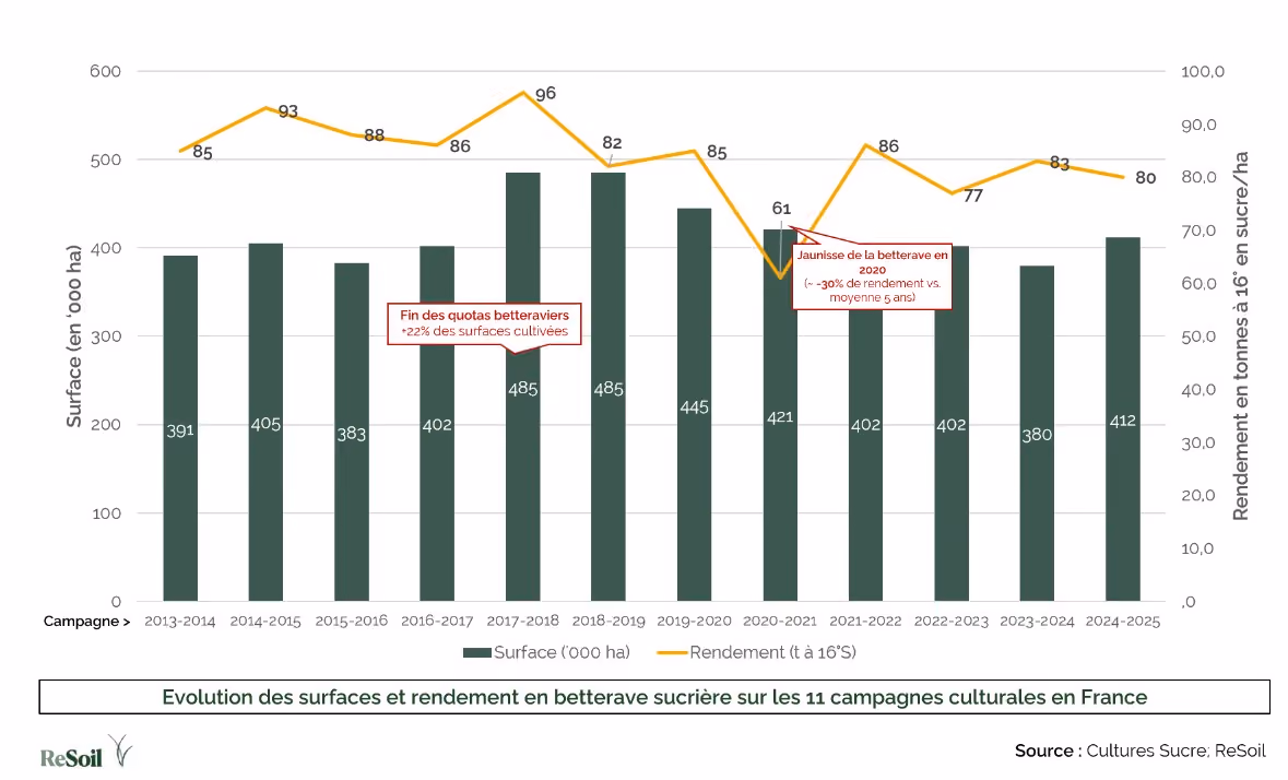 Evolution des surfaces et rendement en betterave sucrière sur les 11 dernières campagnes culturales en France (Source : Cultures Sucre, ReSoil)
