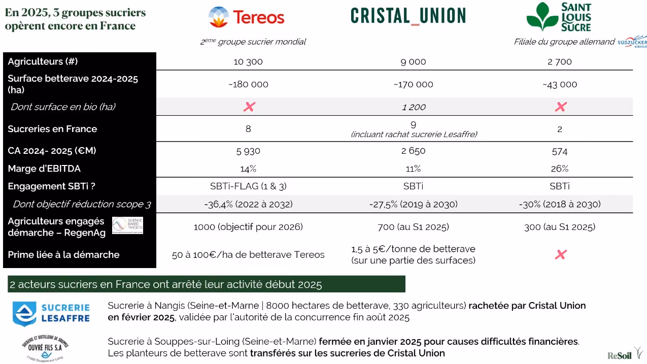 Tableau comparatif des 3 groupes sucriers présents en France en 2025 (Source : ReSoil)
