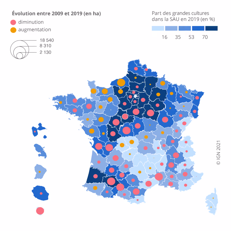 Carte des surfaces des Grandes Cultures en France - Source : Insee