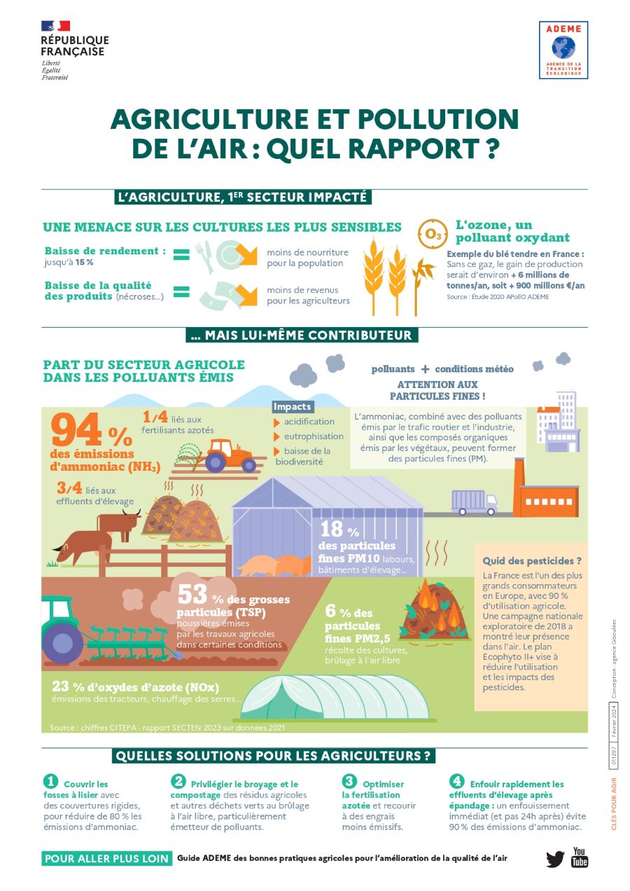 Infographie récapitulative des origines et liens entre agricultures et qualité de l'air (Ademe, 2024)