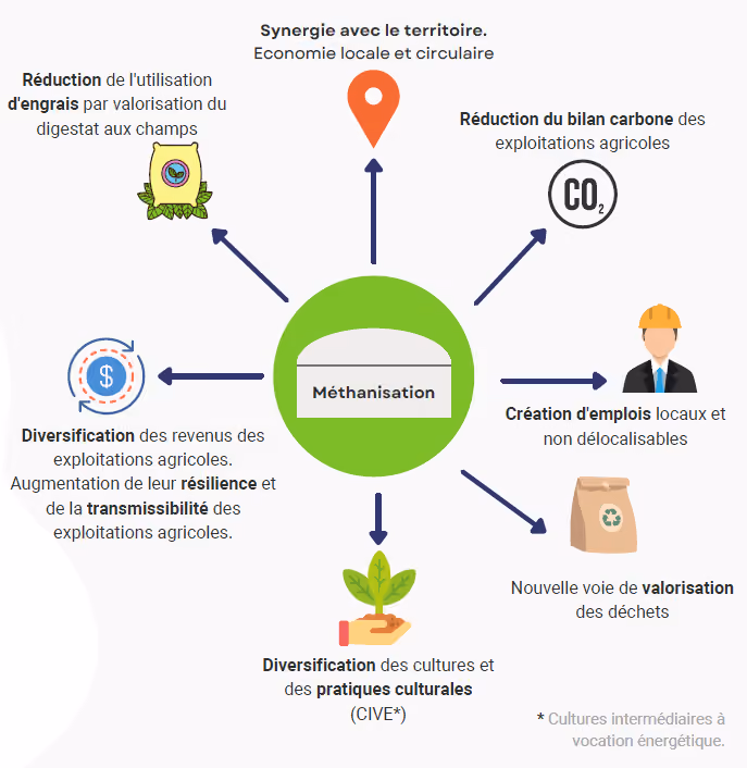 Méthanisation agricole