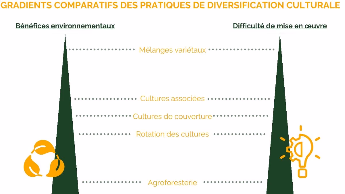 Gradients comparatifs des pratiques de diversification culturale - Source : Analyse ReSoil sur base de l’INRAE