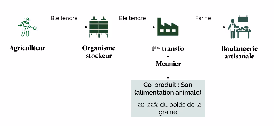 Les différents acteurs de la filière blé