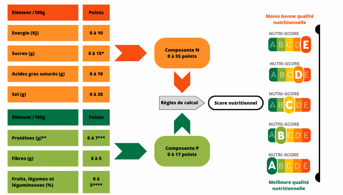 Attribution des points des composantes N et P par catégories d'éléments (Source : Santé Publique France)