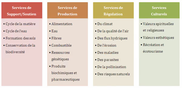 Services écosystémiques (UVED)
