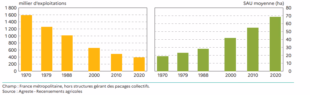 En 50 ans, 1 200 000 exploitations disparaissent et pour les 400 000 exploitations restantes leur surface augmente de 50 ha.