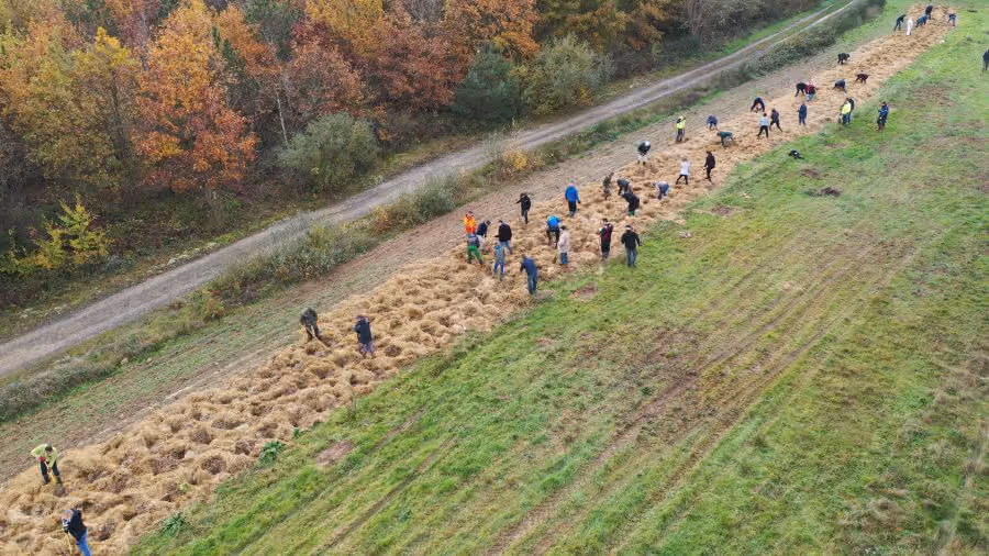Plantation de haies (©ReSoil, 2025)