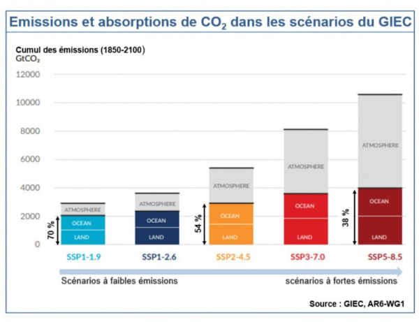 Évolution de la part d’émissions pouvant être absorbée par les océans et les terres, selon le scénario et degré d’émissions associé. Source : 6ème rapport du GIEC
