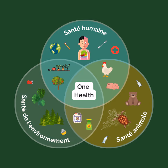 Principe OneHealth : respecter l'environnement, les animaux et les humains (Source : ReSoil)