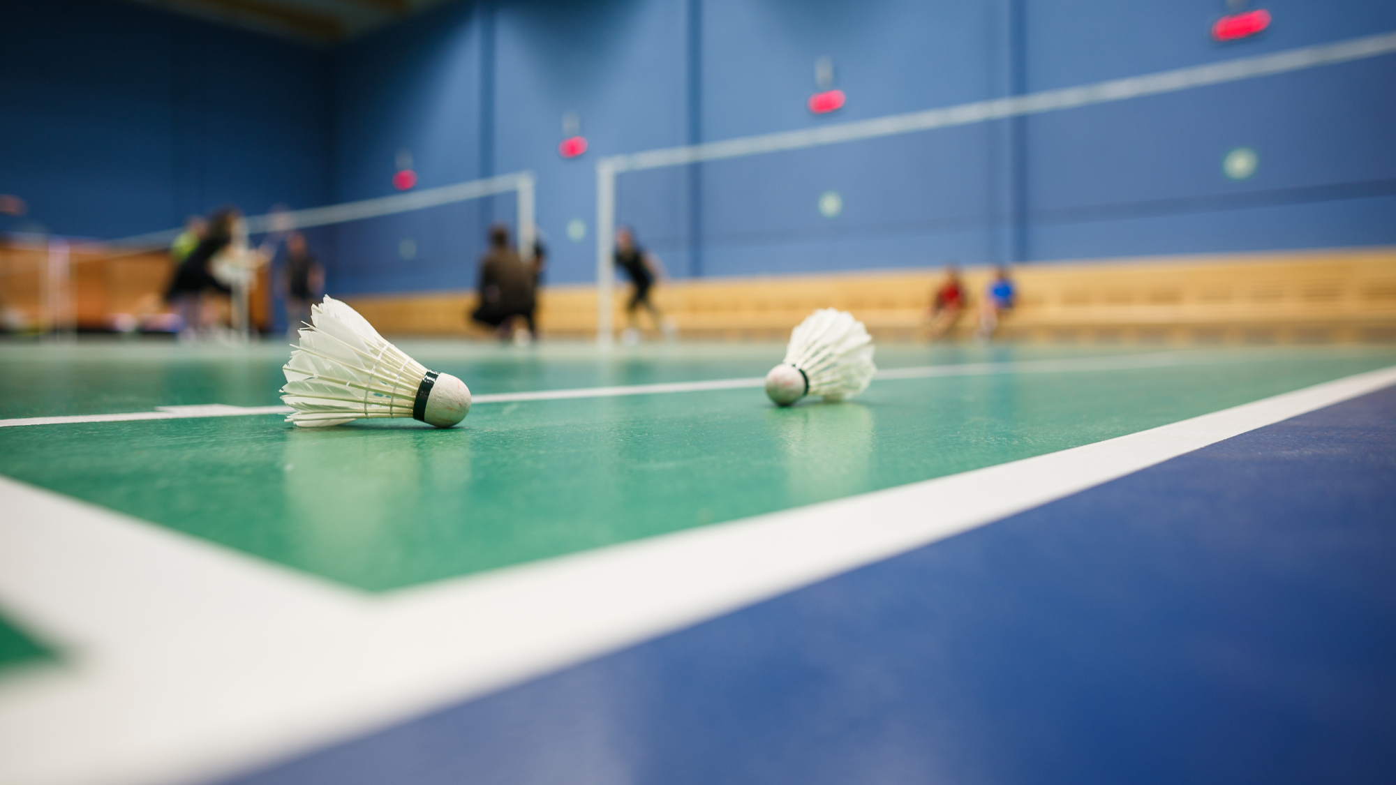 badminton shuttles on court