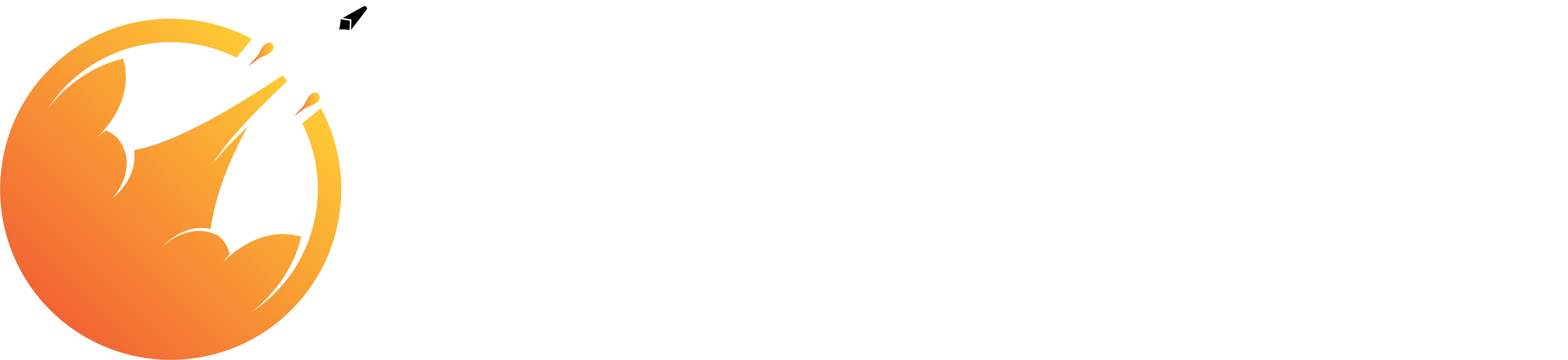 Firefly Consulting International