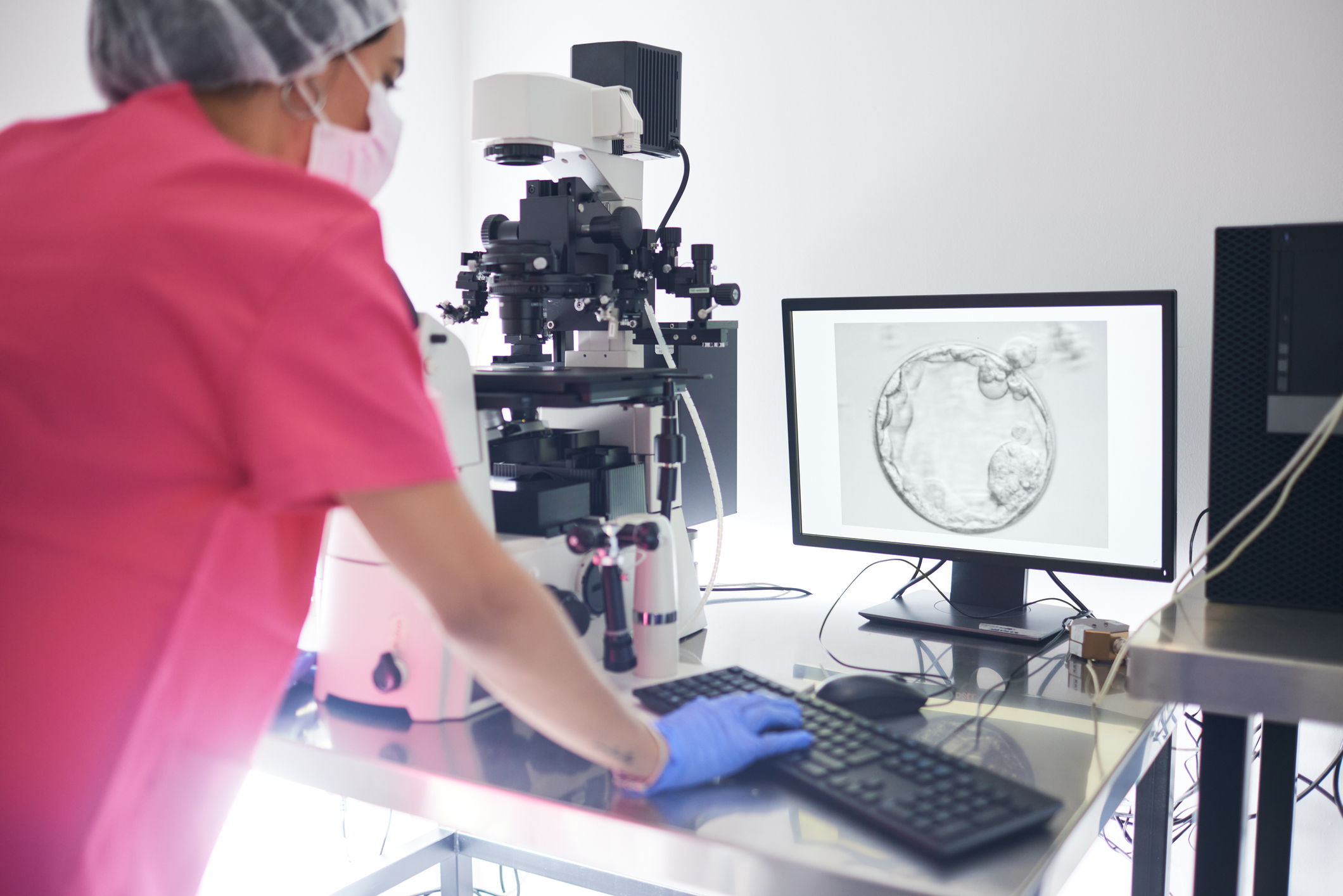 Fertility Network Labs