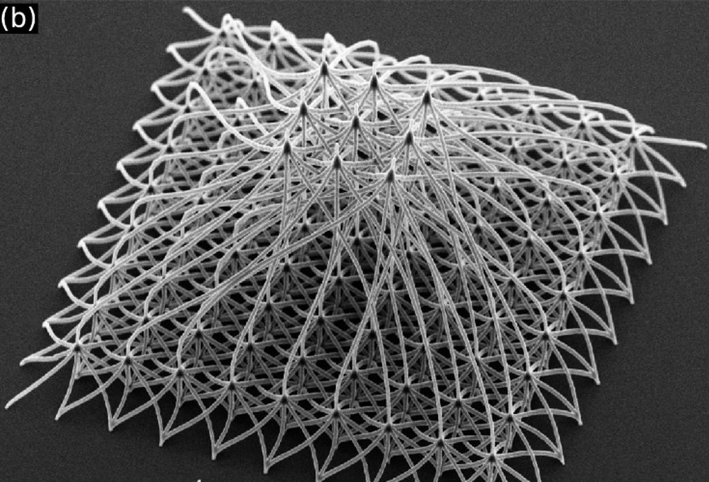 Scanning electron micrograph of a dense 3D coupling network, a domed lattice of written filaments.