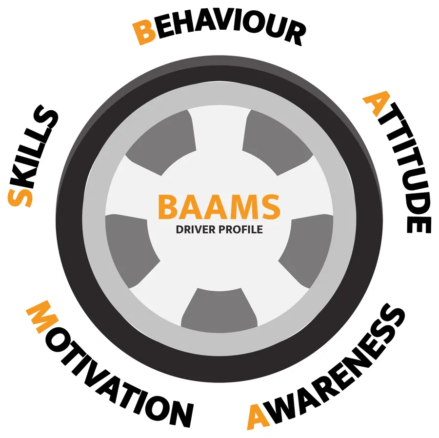 The BAAMS Driver Profile wheel: Behaviour, Attitude, Awareness, Motivation and Skills