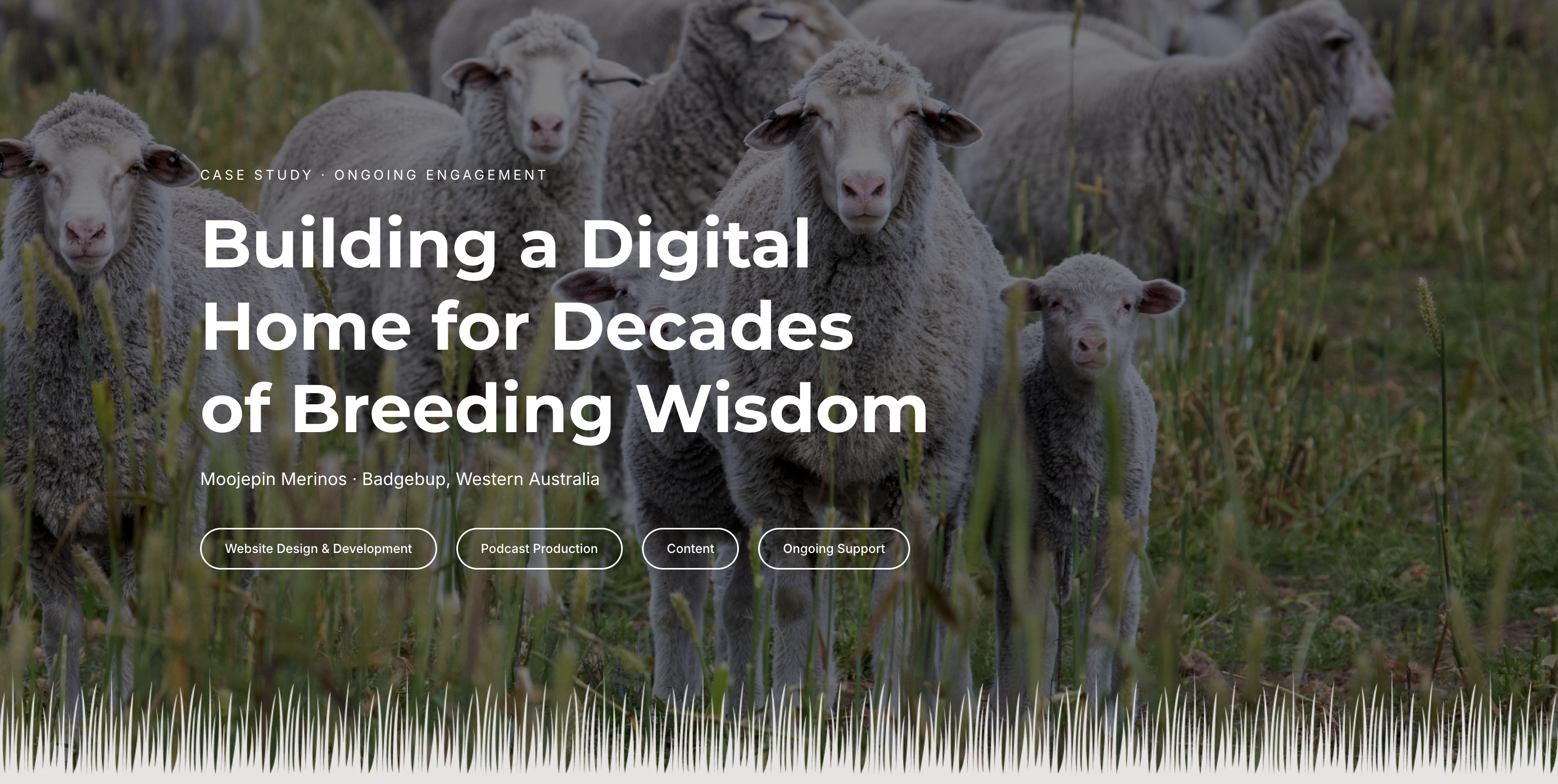 Moojepin Merinos project website