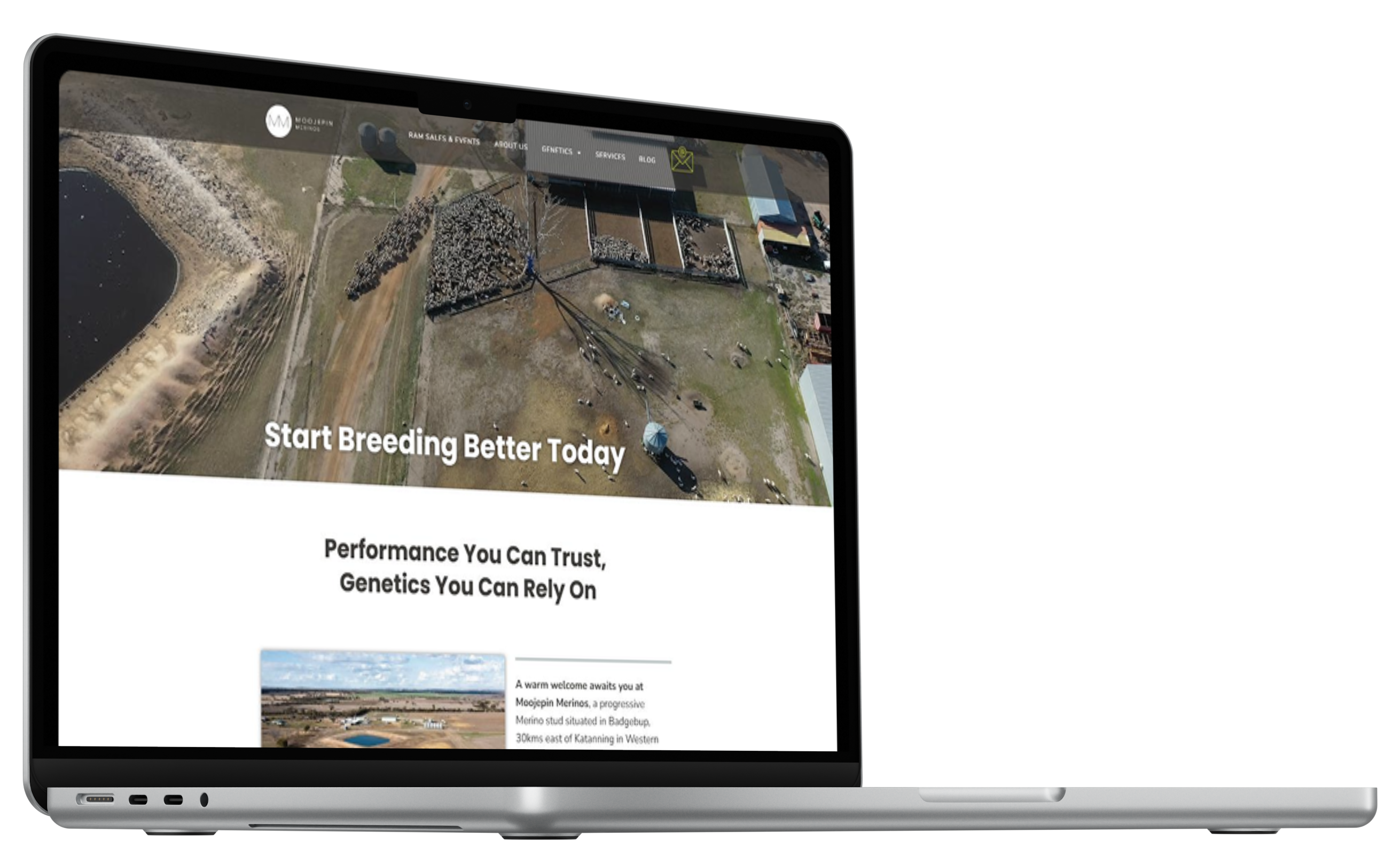 Moojepin Merinos website before redesign