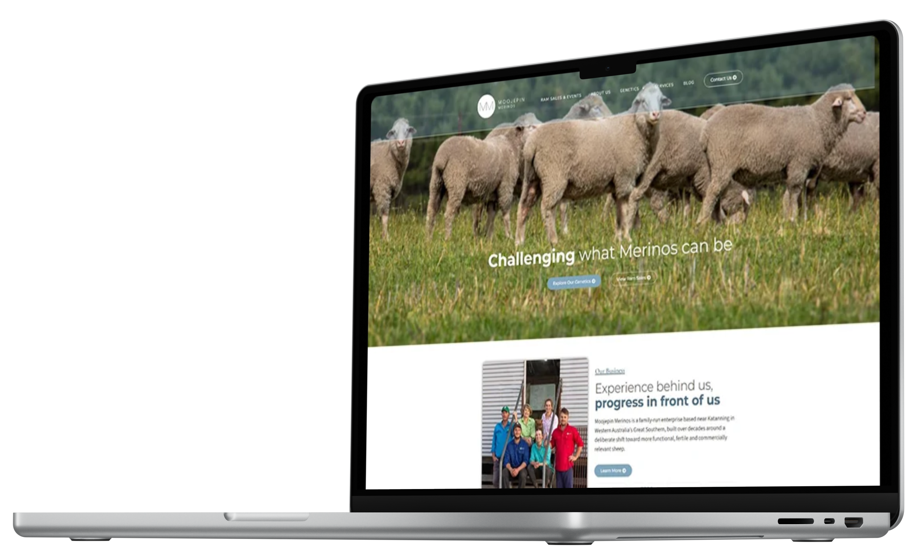 Moojepin Merinos redesigned digital experience