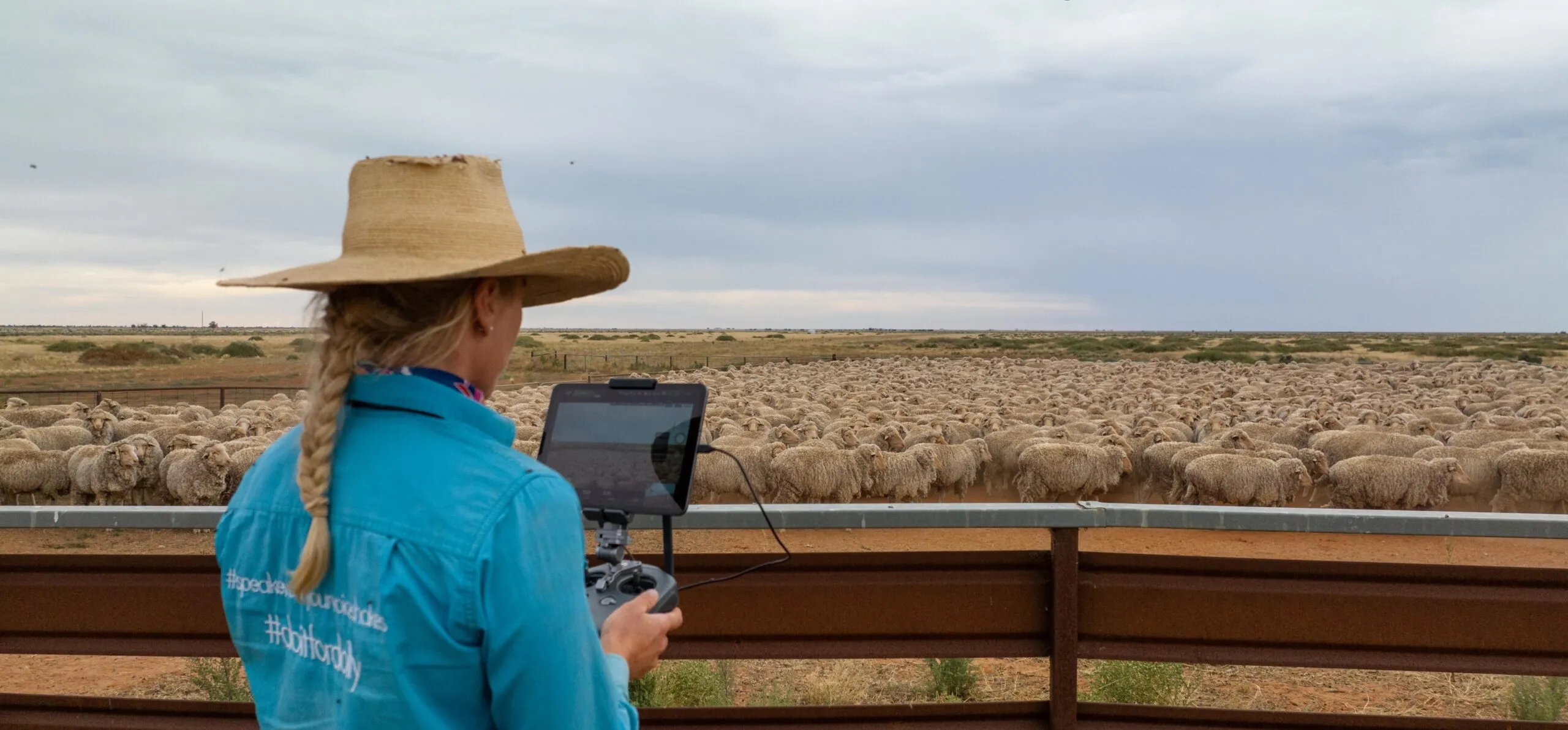 SaaS Integration Transforms Livestock Breeding in Australia