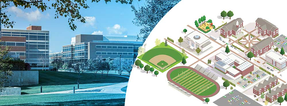 illustration of a college campus