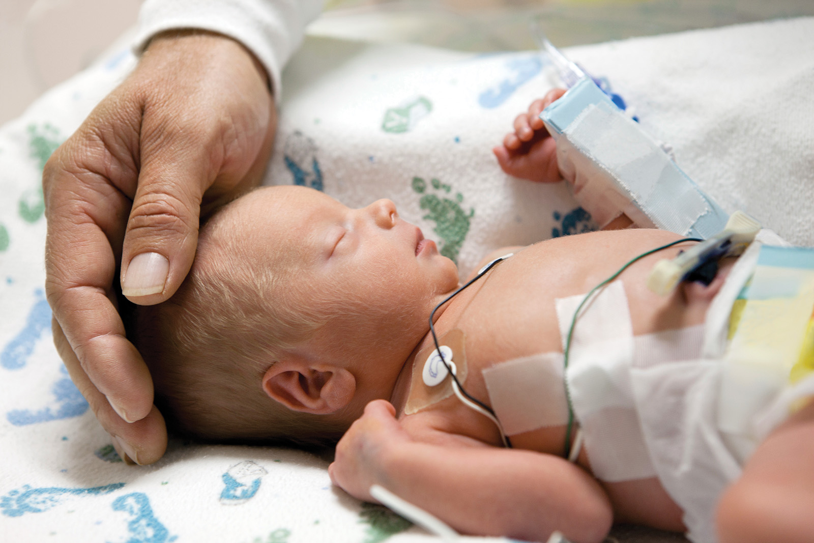 A parent's hand gently touching a newborn baby's head in a hospital.
