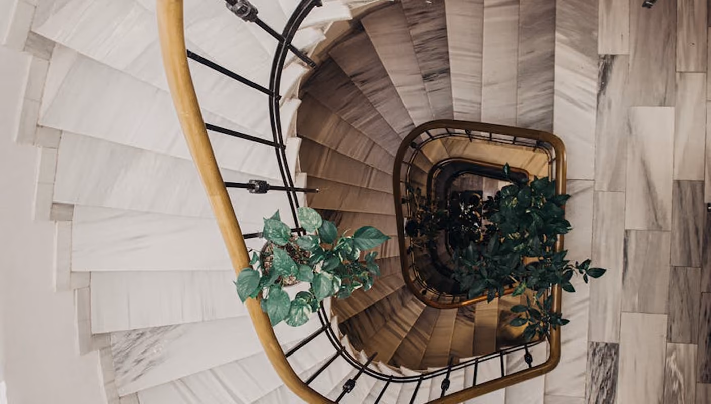 Top-down view of a spiral staircase with black railing, wooden handrail, and green plants inside.