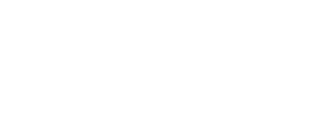 Robert Bosch Stiftung Logo
