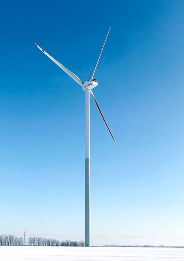 project single image