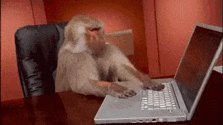 Baboon sitting at a desk typing rapidly on a laptop keyboard in an animated GIF.