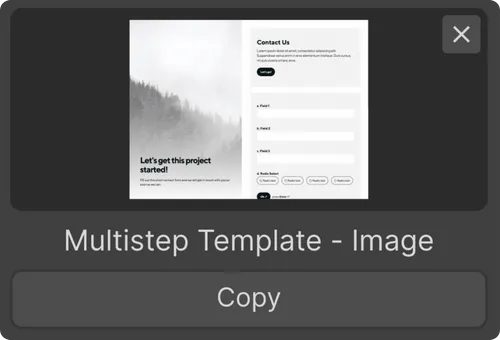 Multistep template interface with a contact form on the right and a mountain foggy forest background on the left, featuring input fields and radio buttons.