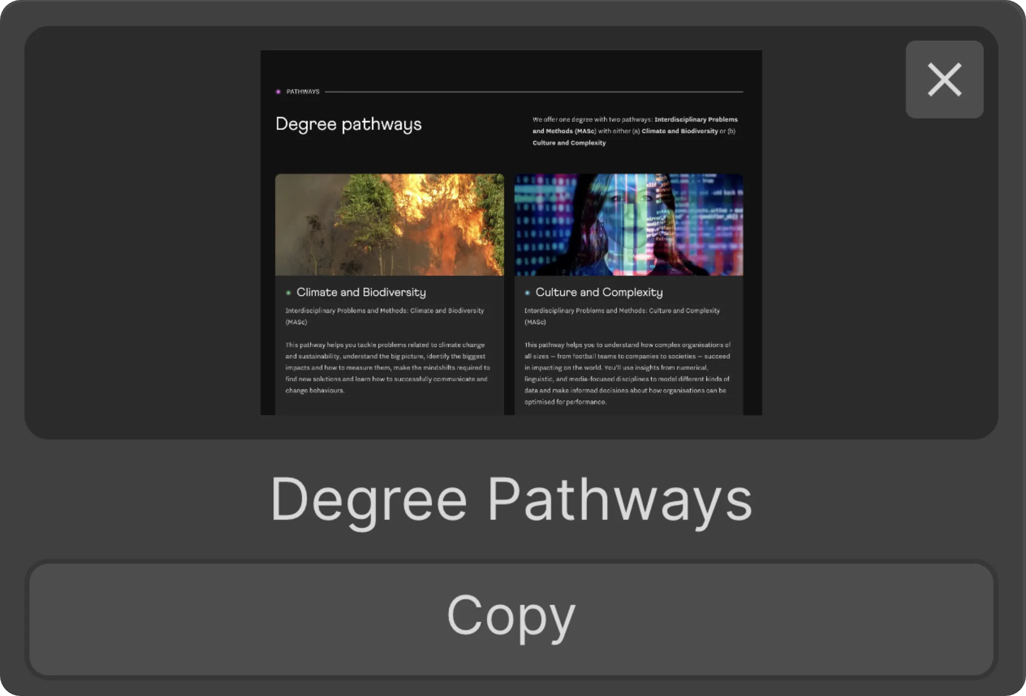Informational screen showing two degree pathways: Climate and Biodiversity with an image of a forest fire, and Culture and Complexity with an image of a woman overlaid with digital data.