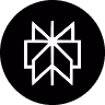perplexity-icon