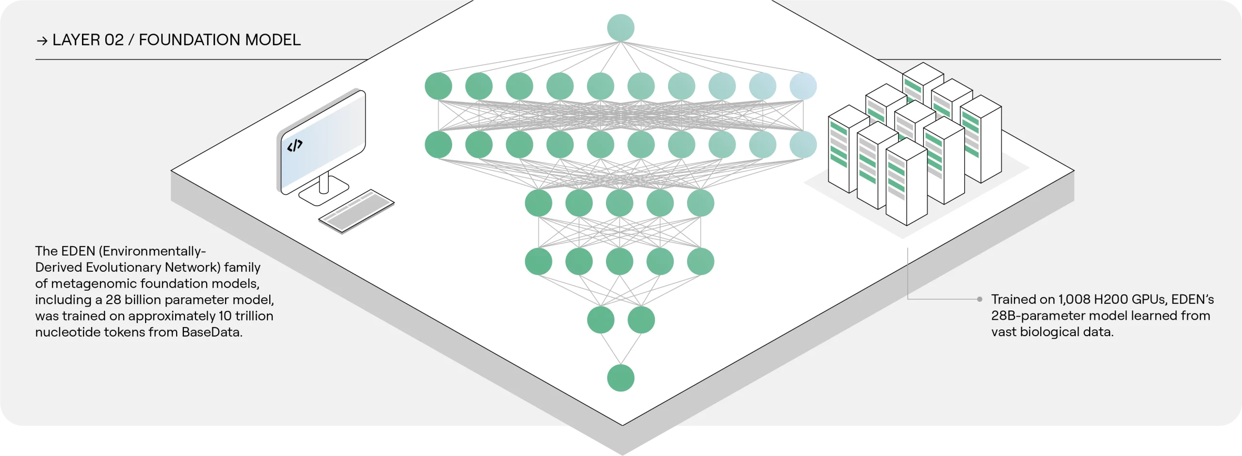 EDEN model layer