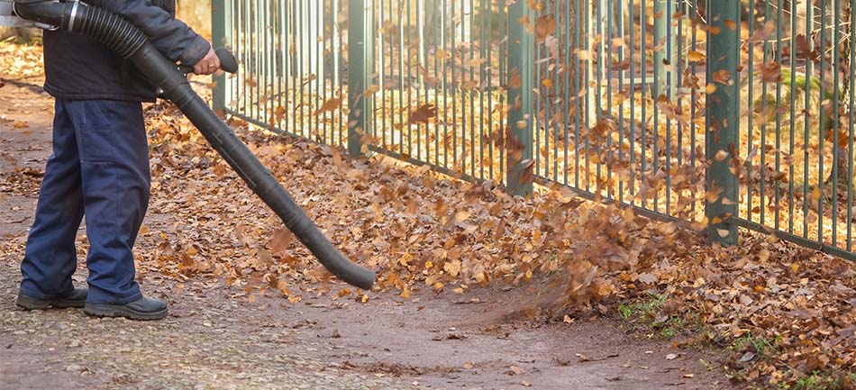 A leaf blower clearing fallen leaves along a fence