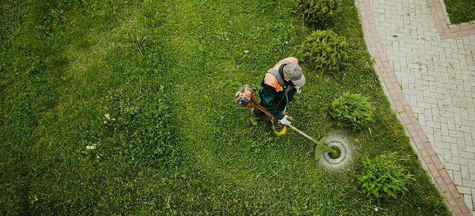 Aerial view of a worker edging a lawn with a string trimmer