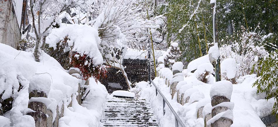 Snow-covered steps and railings beside frosted shrubs