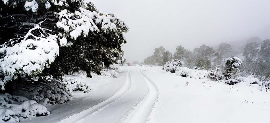 A snow-covered road through winter trees