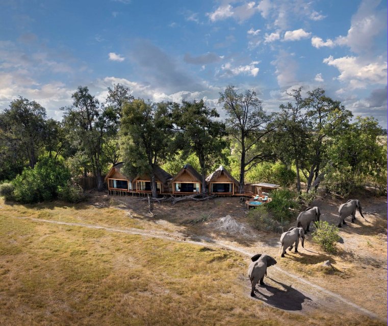 Aerial view of Tawana with elephants passing the suites