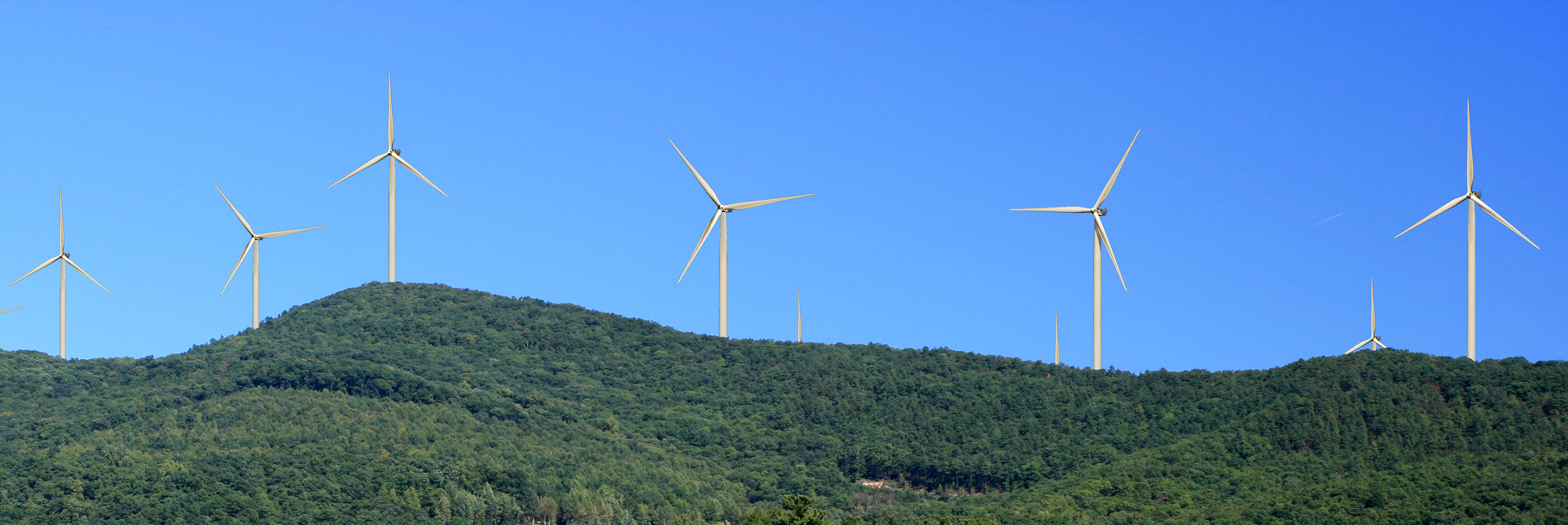 Row of wind turbines on a lush green forested ridge under a clear blue sky.