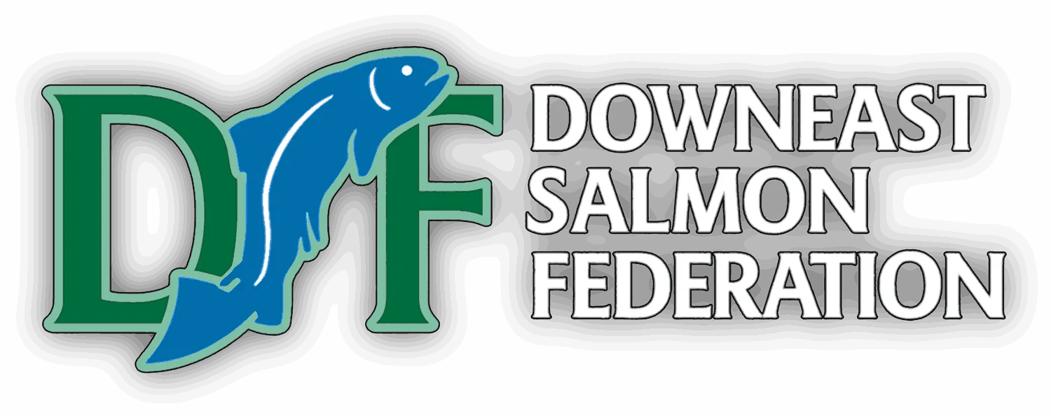 Logo of Downeast Salmon Federation featuring green letters 'DSF' with a blue salmon fish integrated over the letters and the federation's name in white capital letters on a black background.