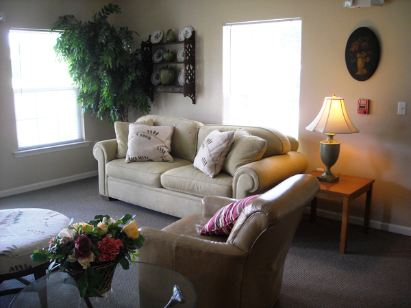 Furnished living room