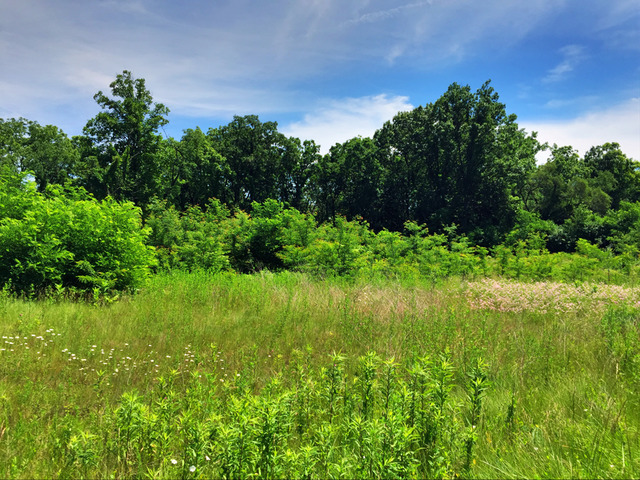 Property photo of 9785 Secret Forest Drive in BURR RIDGE, Illinois