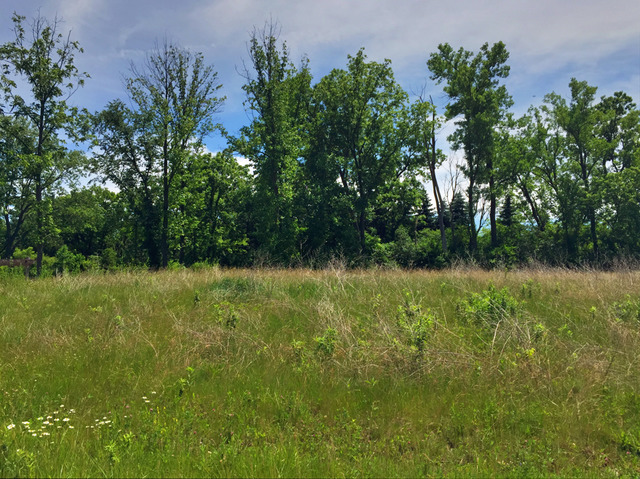 Property photo of 1181 Secret Forest Drive in BURR RIDGE, Illinois