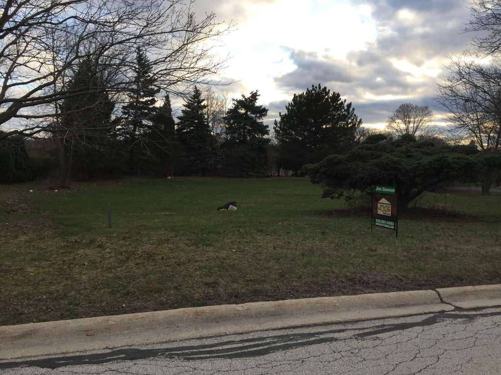 Property photo of 46 Kingston Drive in Oak Brook, Illinois