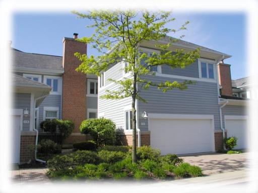 Property photo of 21 Mashie Court in Woodridge, Illinois