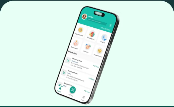 Payment link open on a smartphone